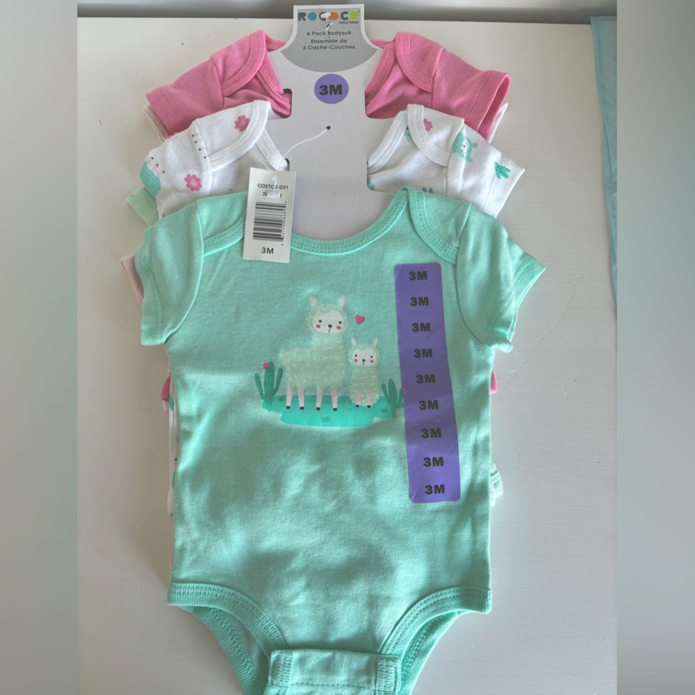 🆕 6 Pack Rocco Baby Girl Bodysuits